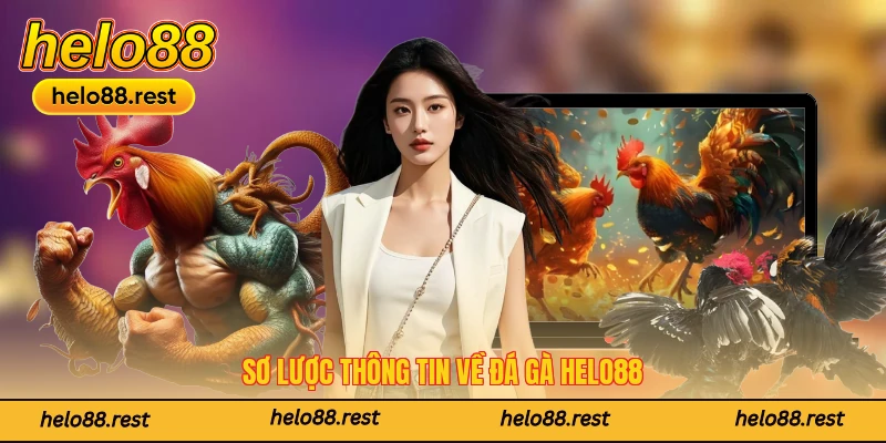 Sơ lược thông tin về đá gà Helo88
